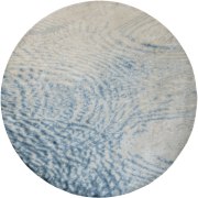 Splash depicted as a round rug