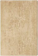ardara 1'6&quot; x 2'3&quot; sample in the beige colorway