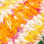 close up of sivas tulu