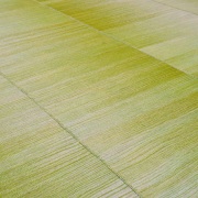 close up detail of the kia sar