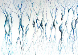 Michal Gavish, Delicate Bouquet Field Guide (Blue Neurons)