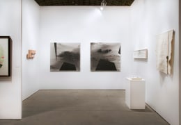 Rhona Hoffman Gallery, Booth 219, EXPO Chicago 2018.