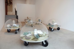 Installation view at Rhona Hoffman Gallery, Chris Garofalo, Zoophytosphere Vivaria, 2013