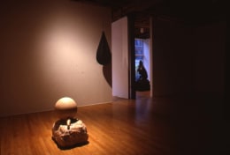 Installation view at Rhona Hoffman Gallery, Leon Golub, New Paintings,&nbsp;1989.