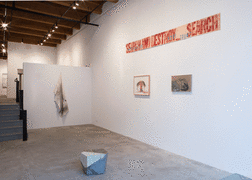 Installation view at Rhona Hoffman Gallery/40 Years Part 3/Political/2017