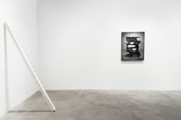 Installation view at Rhona Hoffman Gallery, Luis Gispert, Pin Pan Pun, 2012, Photo: David Elliott