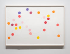 SPENCER FINCH, Following 3 Bees (Zinnias), 2024