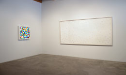Installation view at Rhona Hoffman Gallery, Spencer Finch, Study for Disappearance, 2013, Photo: Robert Heishman
