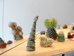 Installation view at Rhona Hoffman Gallery, Chris Garofalo, Aquibotanous Zoolatry, 2010