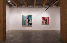 Installation view at Rhona Hoffman Gallery/Natalie Frank/Dancers and Dominas/2017