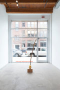 Installation view at Rhona Hoffman Gallery, Luis Gispert, Pin Pan Pun, 2012, Photo: David Elliott