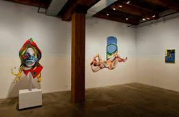 Installation view at Rhona Hoffman Gallery, Natalie Frank, Interiors and Openings, 2014, Photo: Michael Tropea