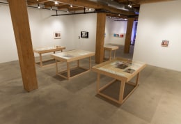 Installation view at Rhona Hoffman Gallery, Michael Rakowitz, The Breakup, 2014
