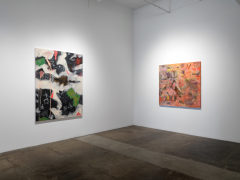 Ruben Nieto, Quantum Entanglement of a Supernova