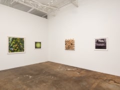 Cris-Worley-Fine-Arts-Gallery-Dallas-Texas-Rusty-Scruby