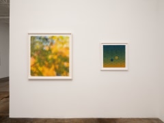 Cris-Worley-Fine-Arts-Gallery-Dallas-Texas-Rusty-Scruby