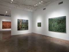 Paul Manes | Into the Weeds, November 16 &ndash; December 28, 2024