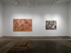 Ruben Nieto, Quantum Entanglement of a Supernova