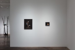 Isabelle du Toit | Refuge, November 18 - December 30, 2023