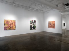 Ruben Nieto, Quantum Entanglement of a Supernova