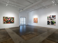 Ruben Nieto, Quantum Entanglement of a Supernova