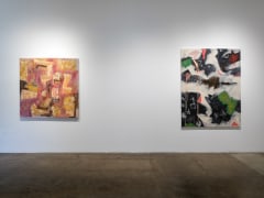 Ruben Nieto, Quantum Entanglement of a Supernova