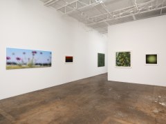 Cris-Worley-Fine-Arts-Gallery-Dallas-Texas-Rusty-Scruby