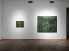 Paul Manes | Into the Weeds, November 16 &ndash; December 28, 2024