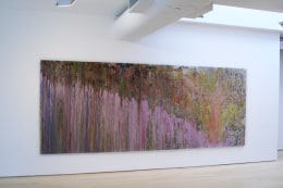 Larry Poons, Radical Surface, 1985-1989