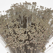 Bertoia Spray close up