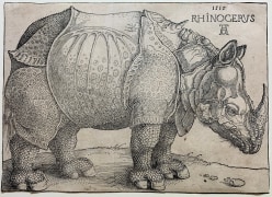 Albrecht D&uuml;rer, The Rhinoceros, 1515