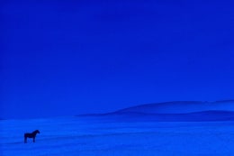 Pete Turner (1934-2017), Blue horse, 1961
