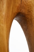 Paul de Ghellinck's wooden sculpture detailed view of wood