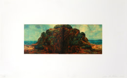 Joan Nelson Untitled (Island), 1999&ndash;2000 Lithograph, silkscreen varnish