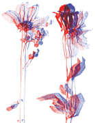 Sterling Ruby, Anaglyph Pressed Flowers (8198)