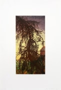 Joan Nelson Untitled (Tree), 1999&ndash;2000 Lithograph, silkscreen varnish
