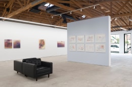 ALINA BLIUMIS Borders and Bruises Anna Zorina Gallery Los Angeles June 2 - July 9, 2022