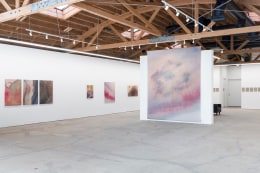 ALINA BLIUMIS Borders and Bruises Anna Zorina Gallery Los Angeles June 2 - July 9, 2022