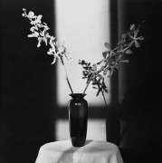 Orchid, 1980