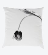 Cushion with a photograph of a tulip with a long stem.