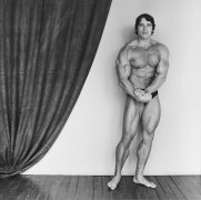 Arnold Schwarzenegger, 1976