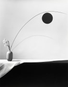Flower, 1983