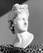 Apollo, 1988