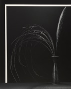 Flowers in a vase against a geometric white and black background.