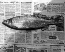 Fish on newspaper.
