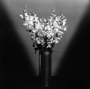 Bouquet of Snap Dragons in a vase.