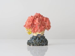 Eun-Ha Paek