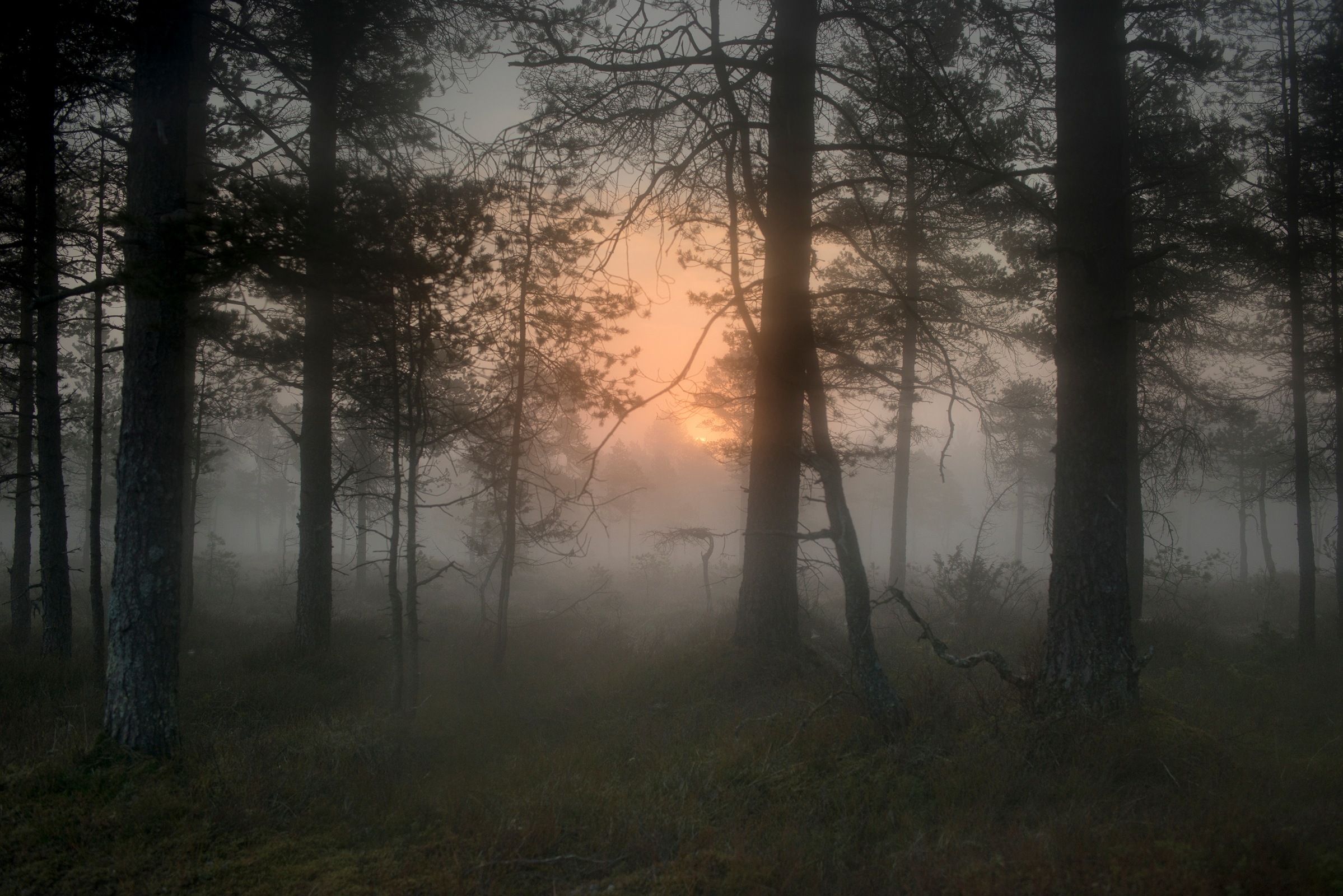 Todd Hido - #11798-3868, 2018 | Art Basel 2020 | Bruce Silverstein Gallery