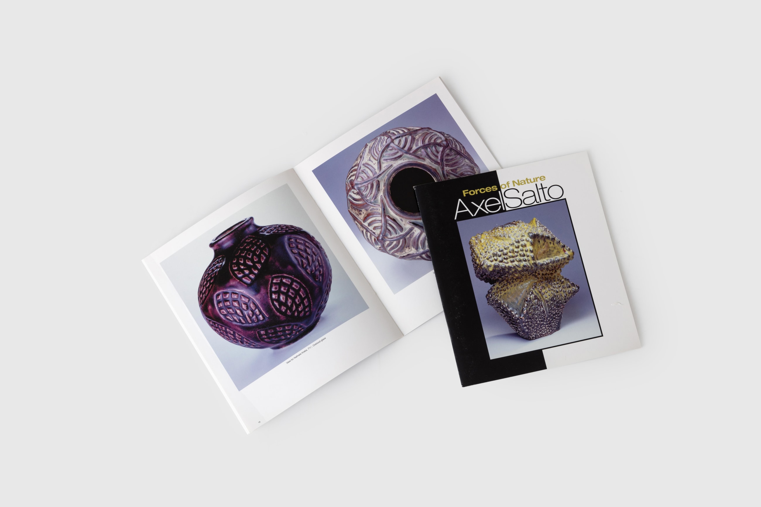 Axel Salto: Forces of Nature