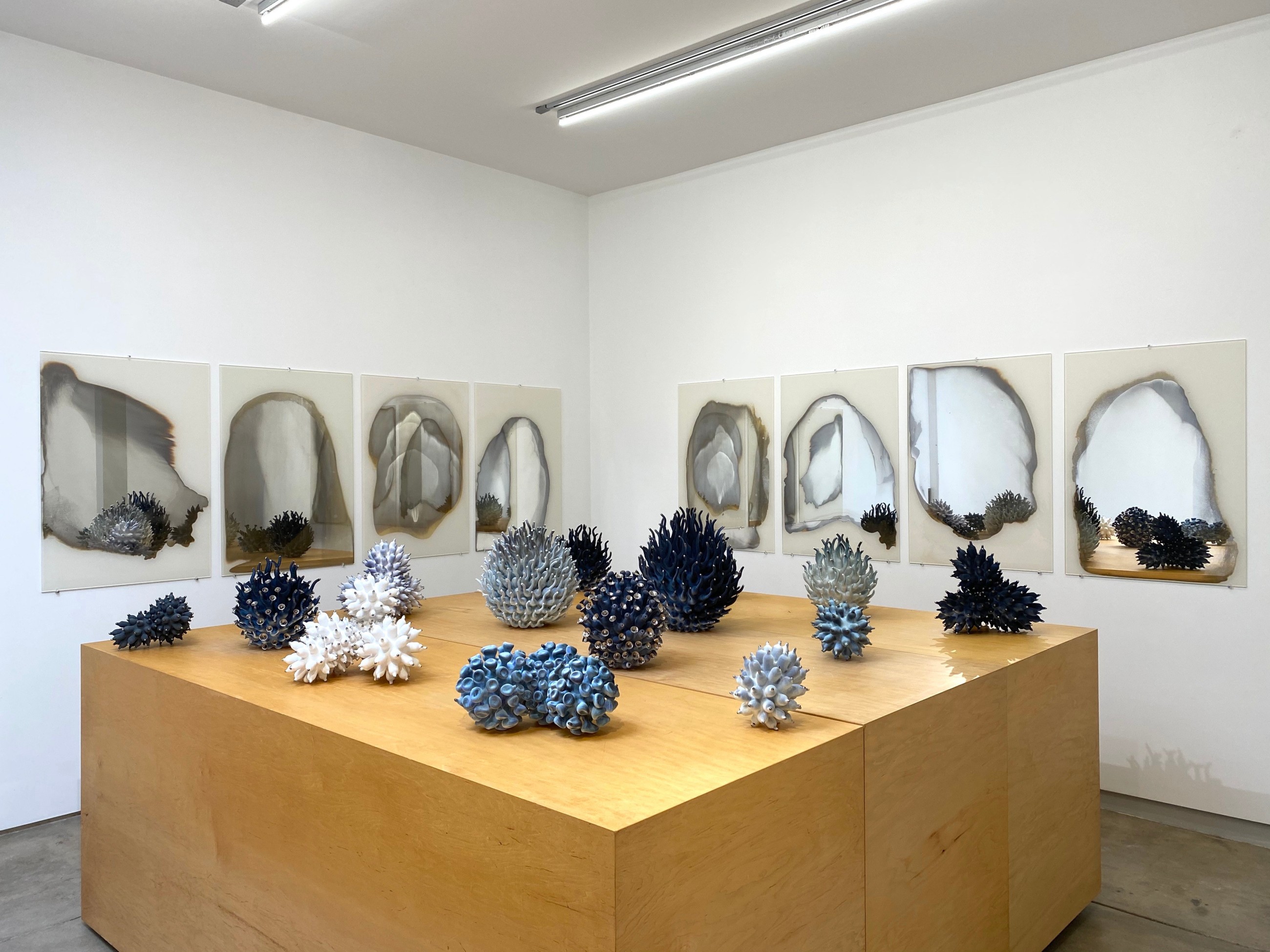 Jenny Nordberg x Eva Zethraeus